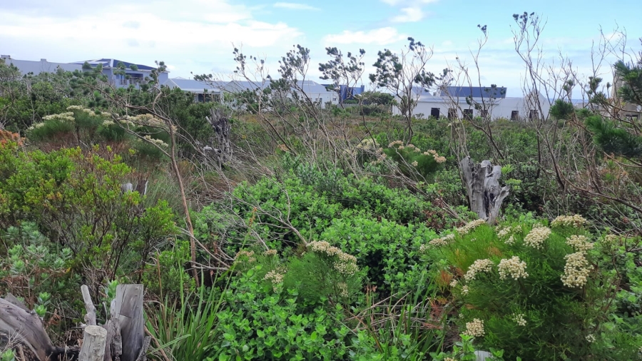 0 Bedroom Property for Sale in Bettys Bay Western Cape